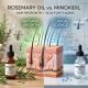 Rosemary Oil vs. Minoxidil: The Clinical Science of Natural Hair Regrowth & Scalp Anti-Aging